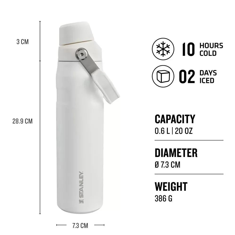 Aerolight Iceflow Fast Flow Frost 20 Ounce Water Bottle