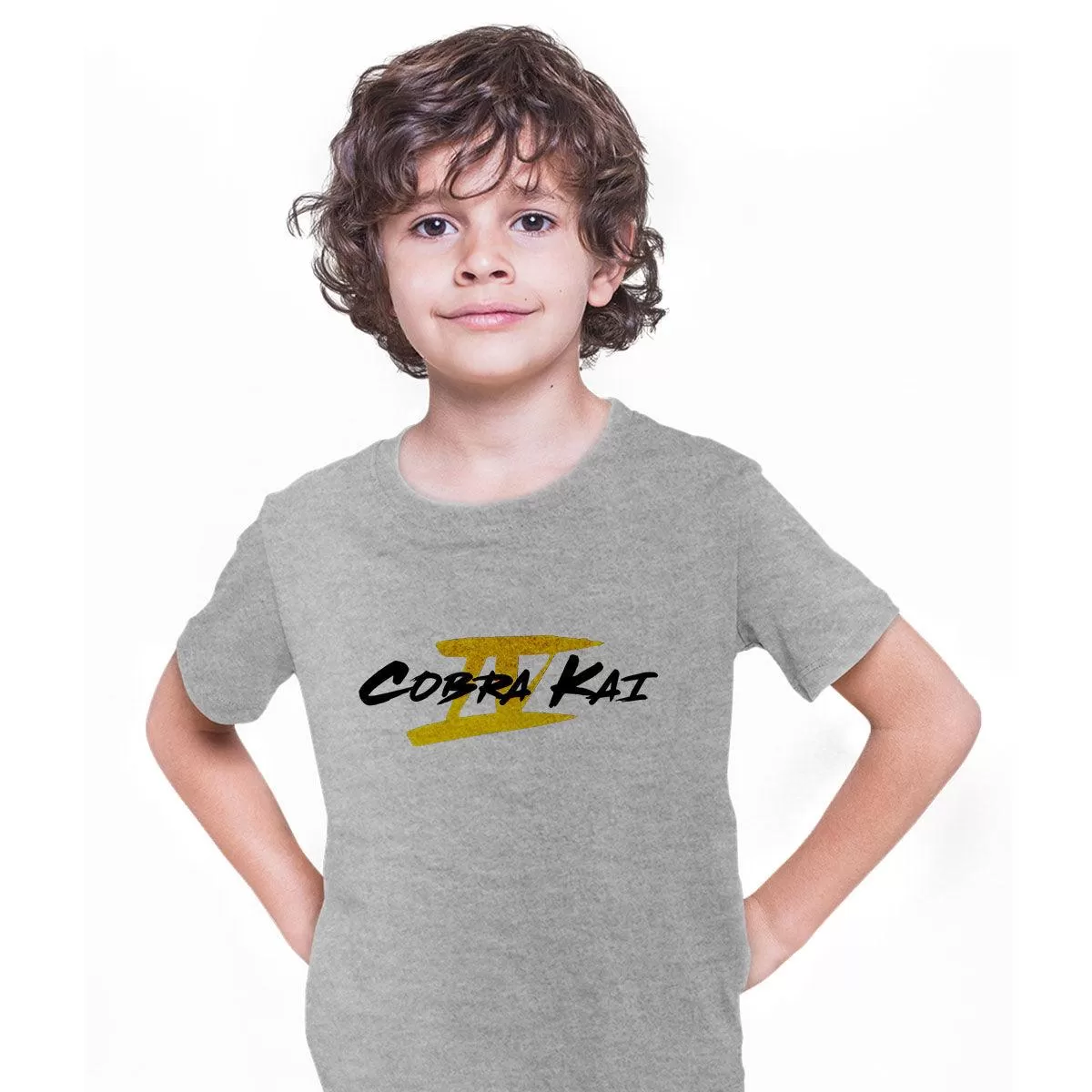 Cobra Kai Logo 4 series Tee Karate Kid Movie Kung Fu Martial Arts Gift T-shirt for Kids